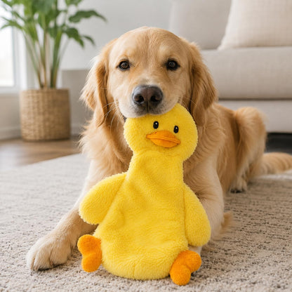 Quackmunch Quackmunch